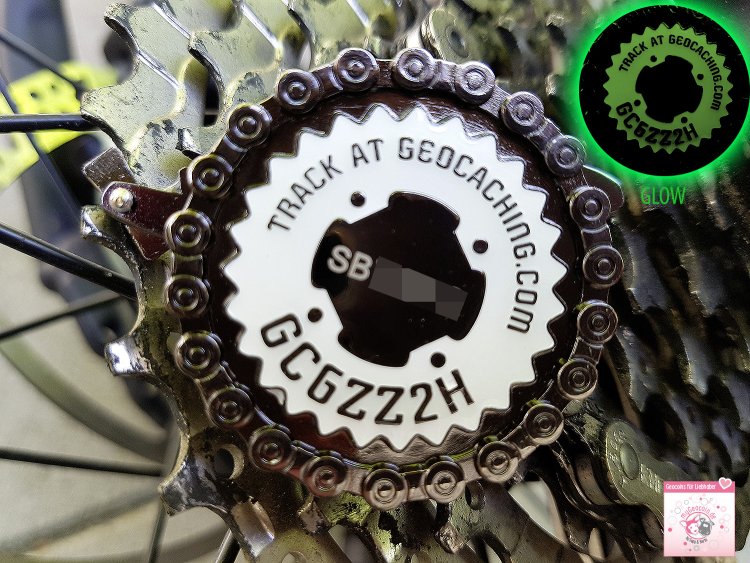 Bike & Seek Geocoin
